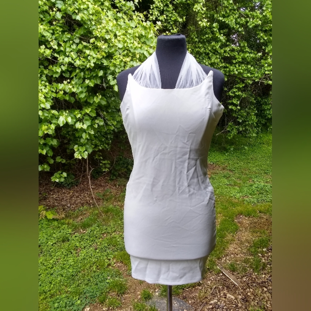 Fashion Nova Dress